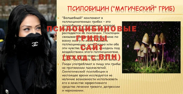 круглые Алексеевка