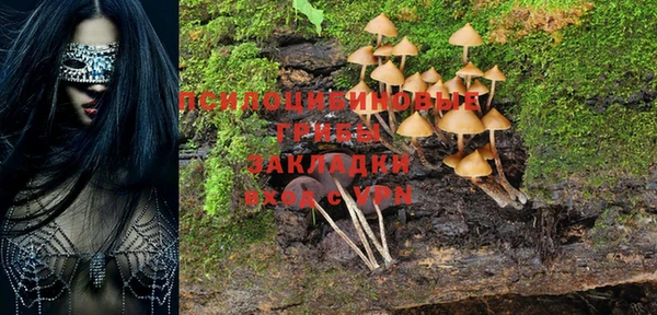 круглые Алексеевка